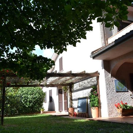 Agriturismo Piana Arborello Hotel Magliano in Toscana Zewnętrze zdjęcie