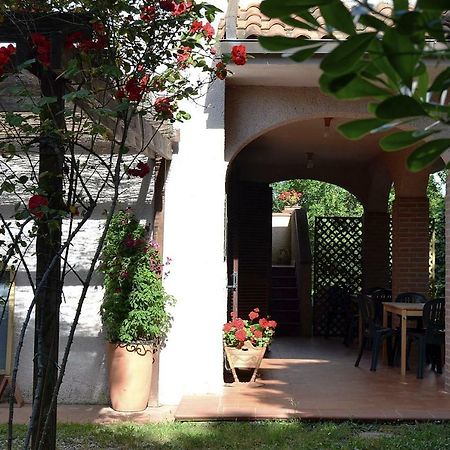 Agriturismo Piana Arborello Hotel Magliano in Toscana Zewnętrze zdjęcie