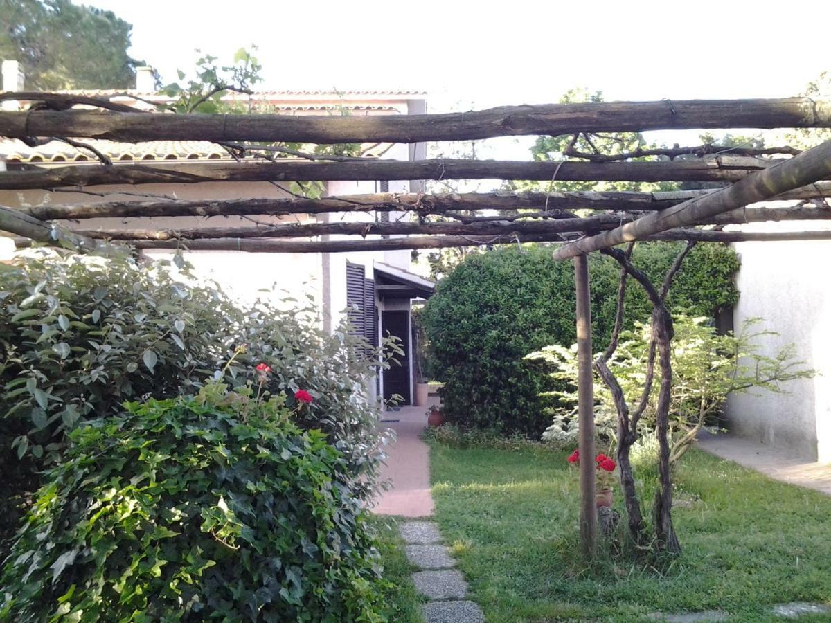 Agriturismo Piana Arborello Hotel Magliano in Toscana Zewnętrze zdjęcie