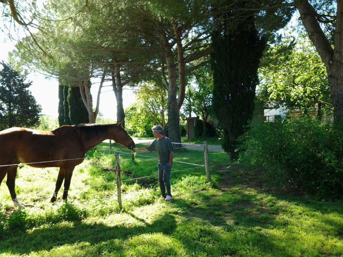 Agriturismo Piana Arborello Hotel Magliano in Toscana Zewnętrze zdjęcie