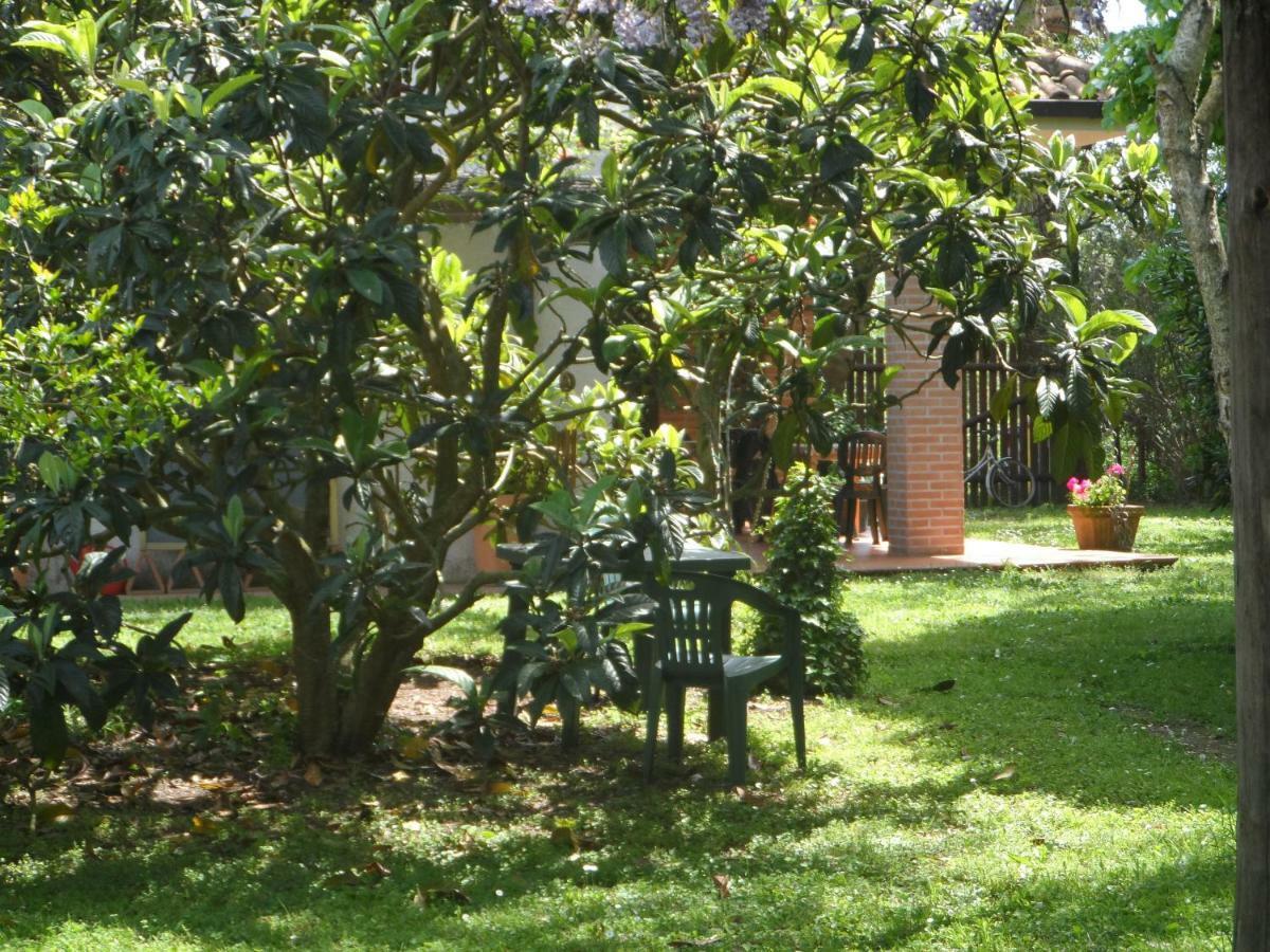 Agriturismo Piana Arborello Hotel Magliano in Toscana Zewnętrze zdjęcie
