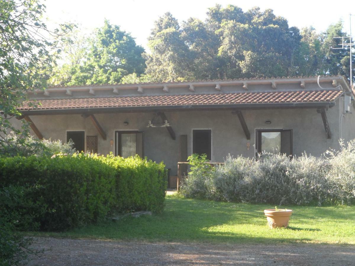 Agriturismo Piana Arborello Hotel Magliano in Toscana Zewnętrze zdjęcie