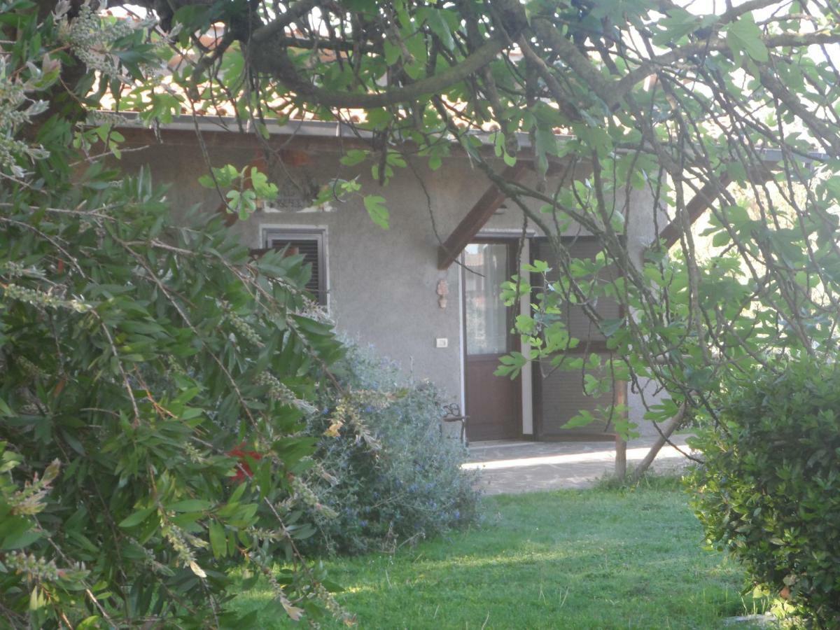 Agriturismo Piana Arborello Hotel Magliano in Toscana Zewnętrze zdjęcie