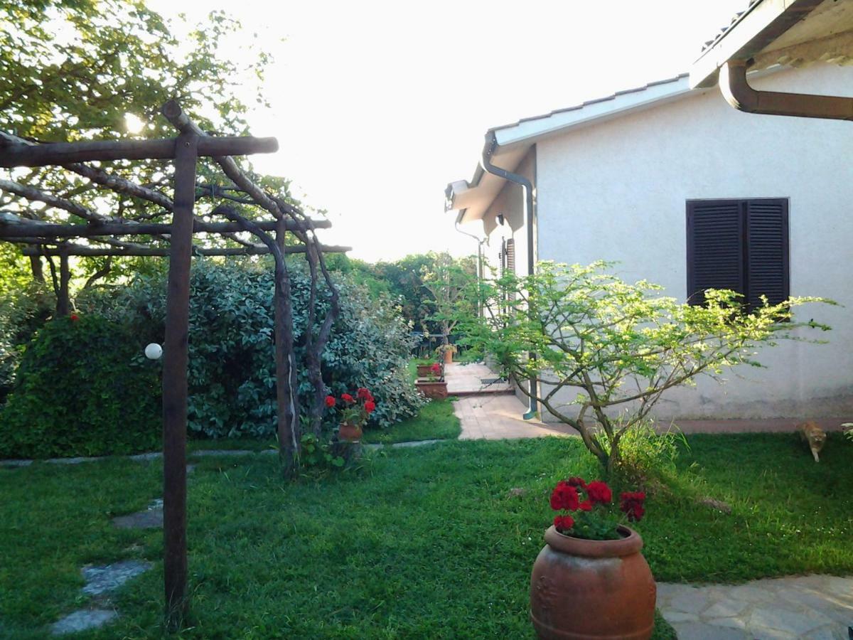 Agriturismo Piana Arborello Hotel Magliano in Toscana Zewnętrze zdjęcie