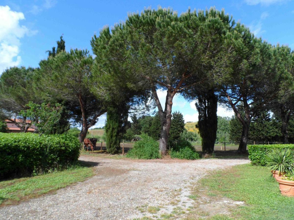 Agriturismo Piana Arborello Hotel Magliano in Toscana Zewnętrze zdjęcie