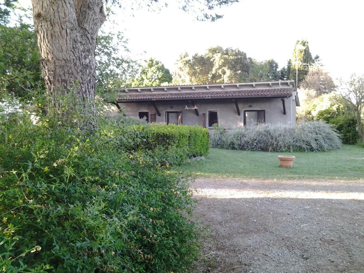 Agriturismo Piana Arborello Hotel Magliano in Toscana Zewnętrze zdjęcie