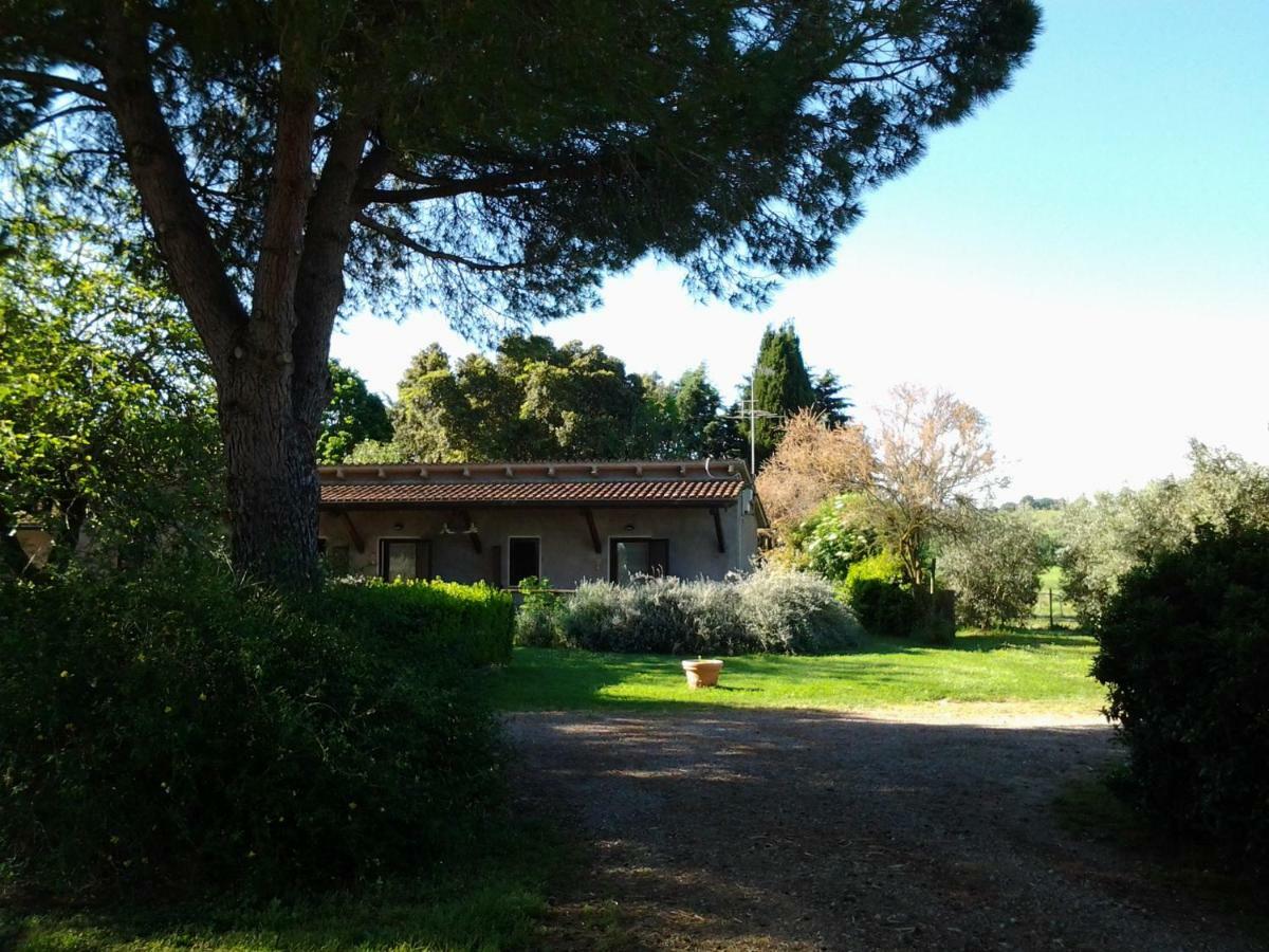 Agriturismo Piana Arborello Hotel Magliano in Toscana Zewnętrze zdjęcie