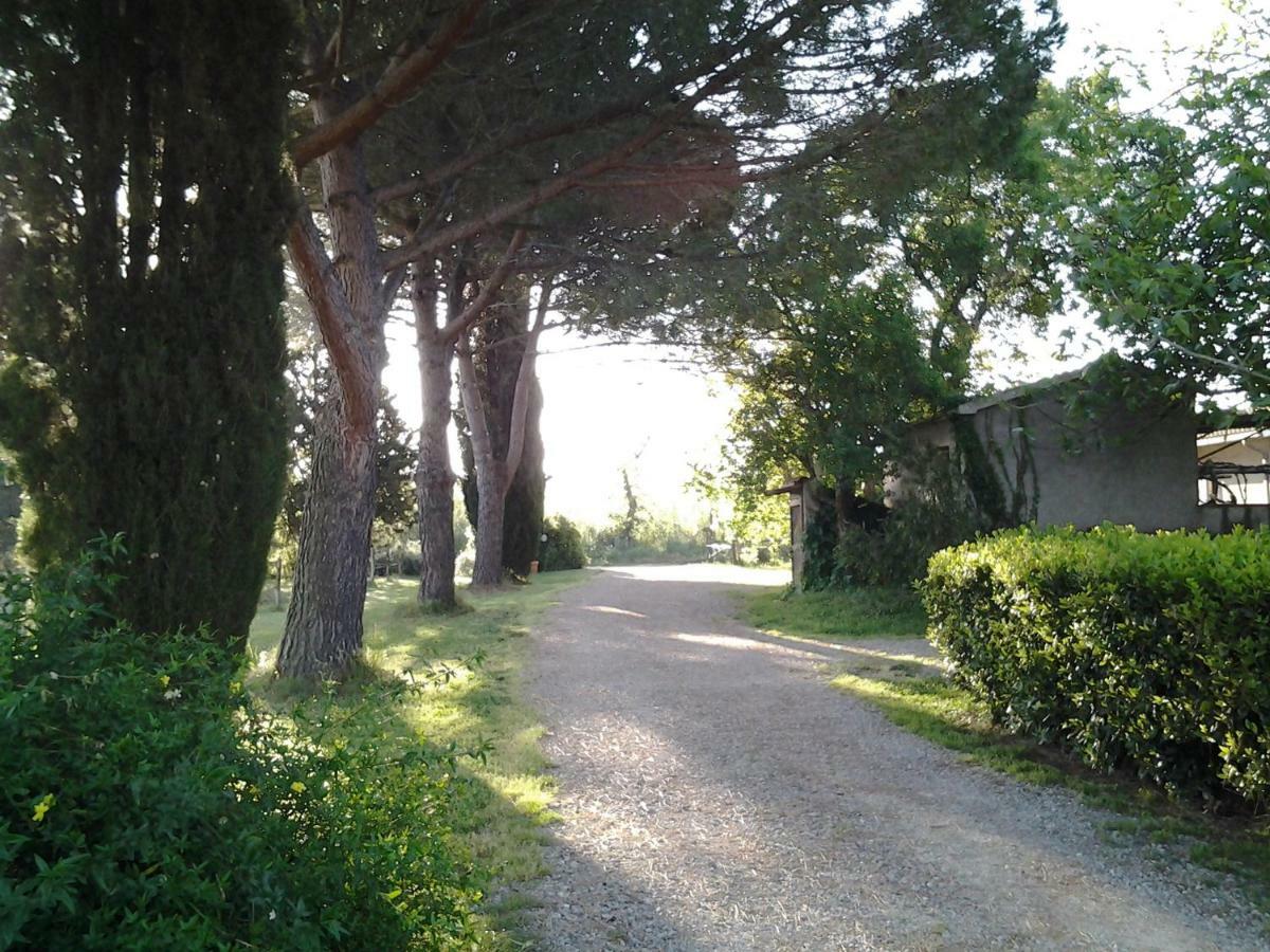 Agriturismo Piana Arborello Hotel Magliano in Toscana Zewnętrze zdjęcie