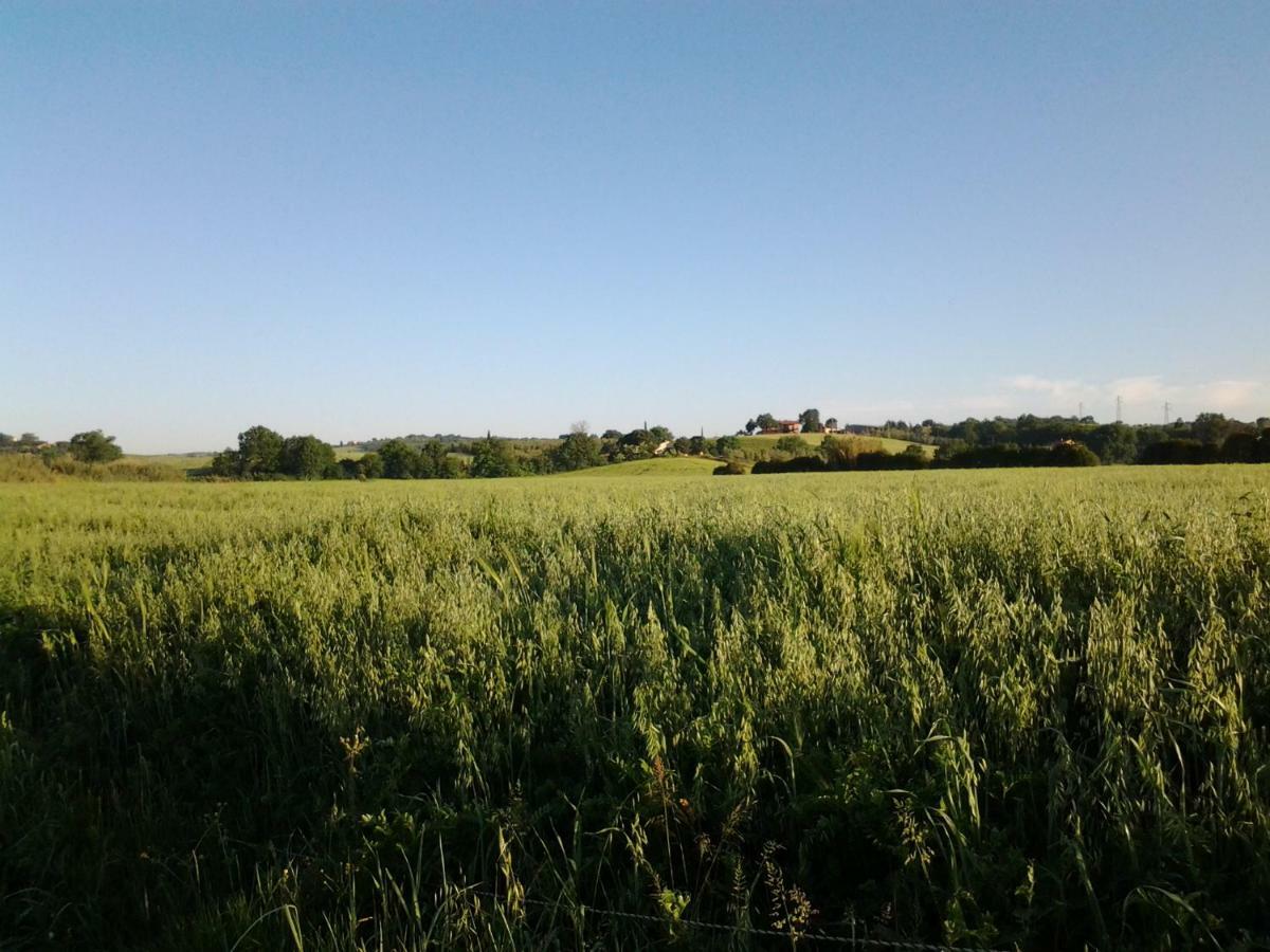 Agriturismo Piana Arborello Hotel Magliano in Toscana Zewnętrze zdjęcie