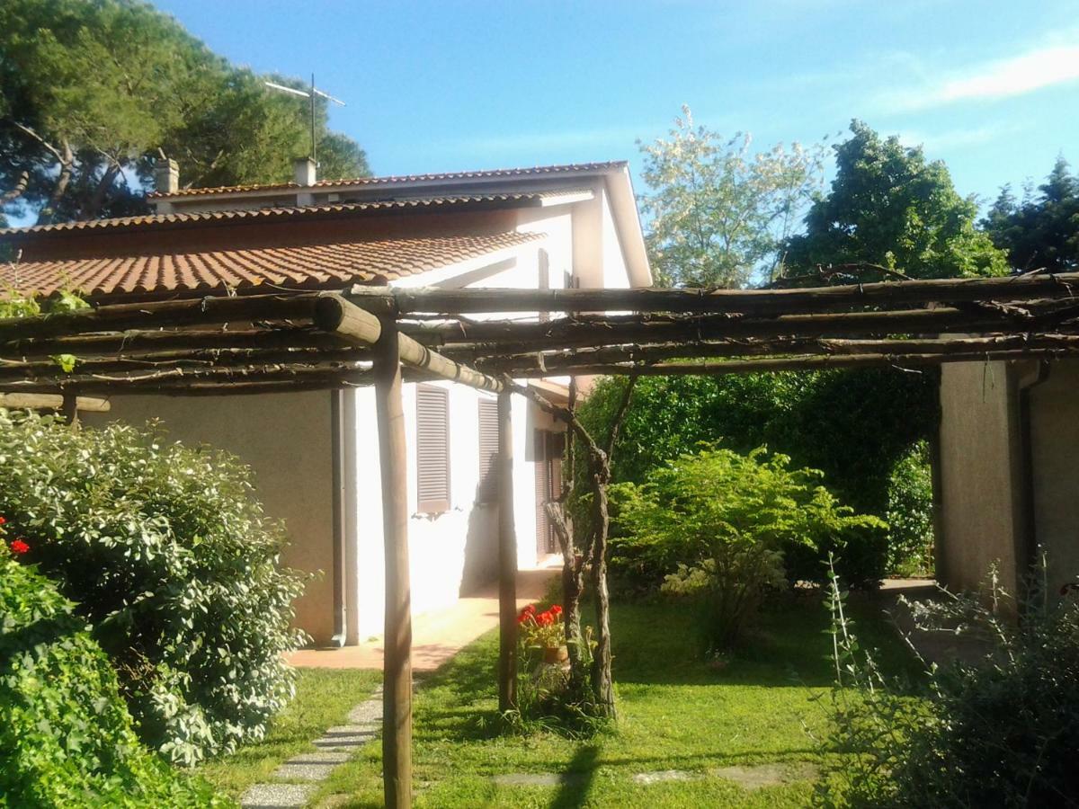Agriturismo Piana Arborello Hotel Magliano in Toscana Zewnętrze zdjęcie