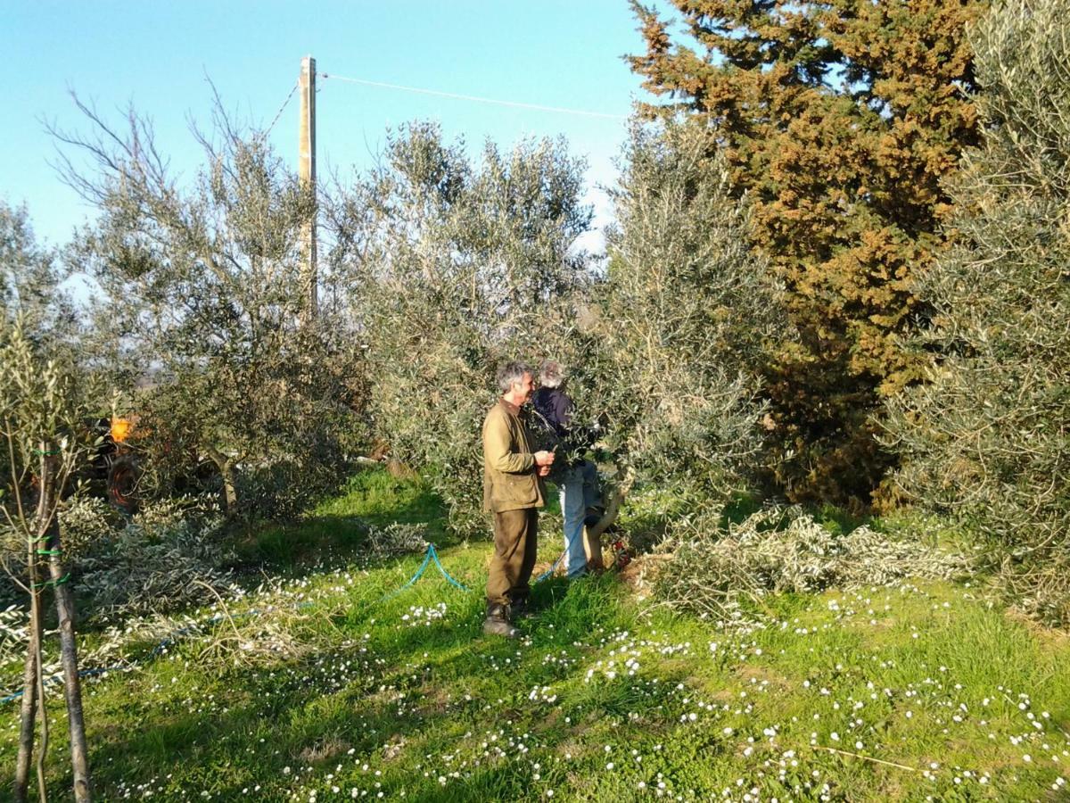 Agriturismo Piana Arborello Hotel Magliano in Toscana Zewnętrze zdjęcie